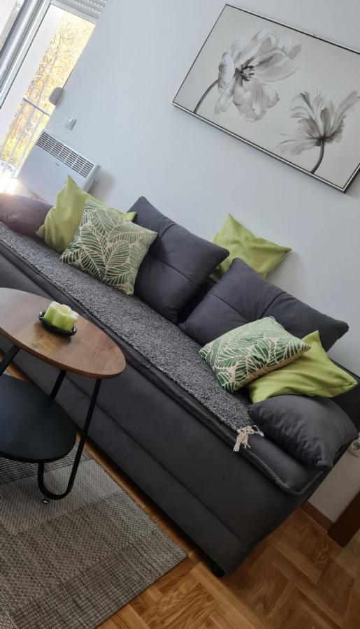 Apartman Tim Lux 2 Vrnjačka Banja Екстериор снимка